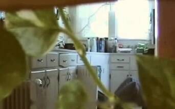 Horny Housewife Sucks Plumber Filmed By Hidden Cam - icpvid.com